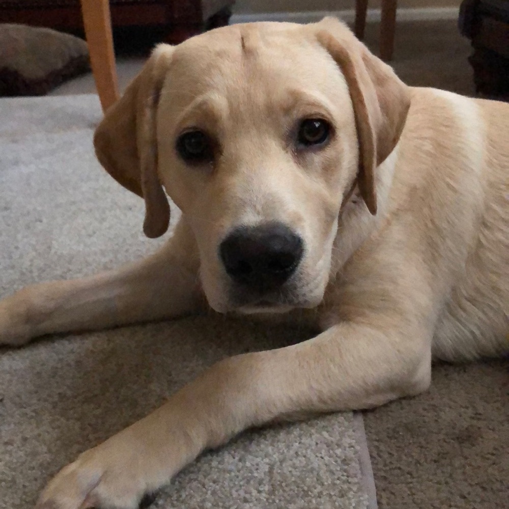 Meet your Posher, Julia